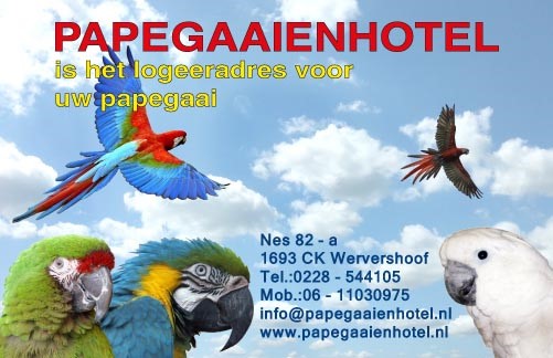 (c) Papegaaienhotel.nl
